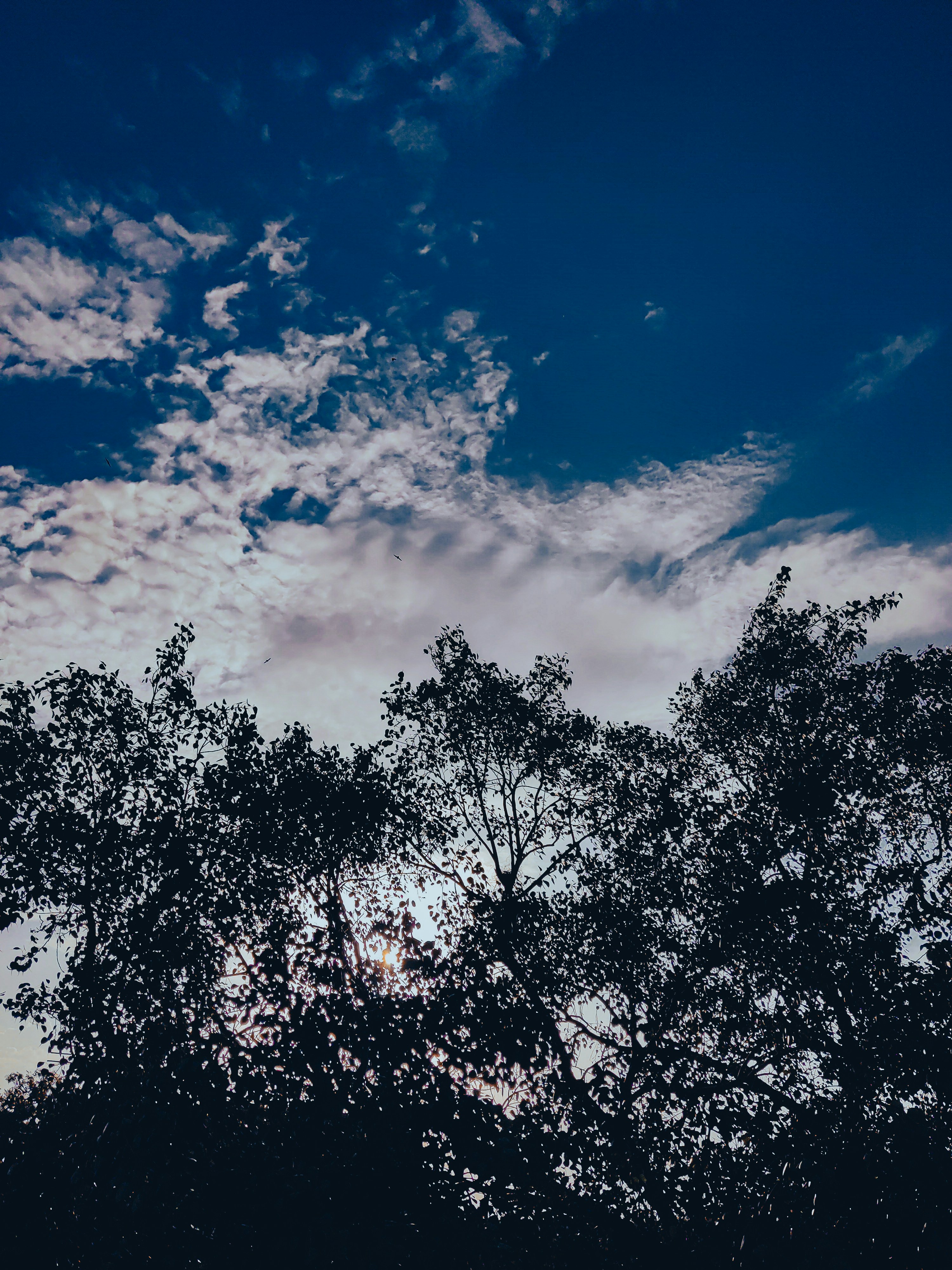 Photo by medicoinfocus