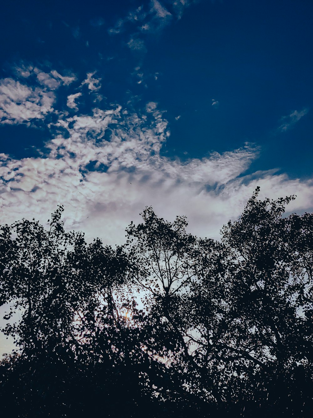 a blue sky with some clouds and some trees