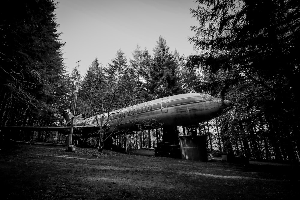 a large object sitting in the middle of a forest