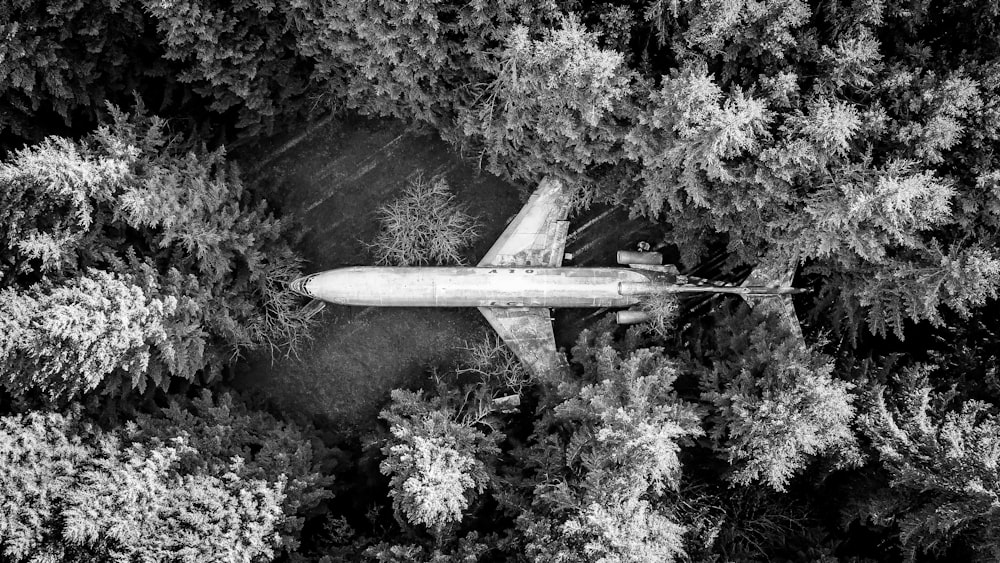 an aerial view of a plane flying over a forest