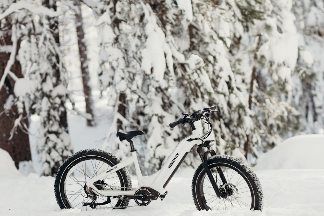 a bicycle parked in the snow in front of trees,