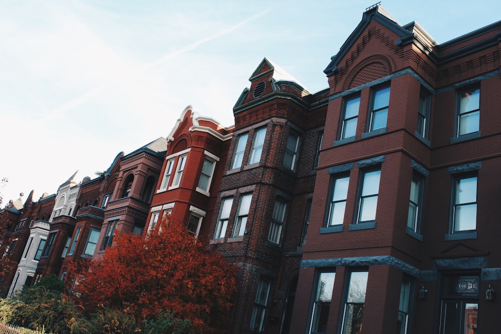 a row of red brick buildings on a sunny day