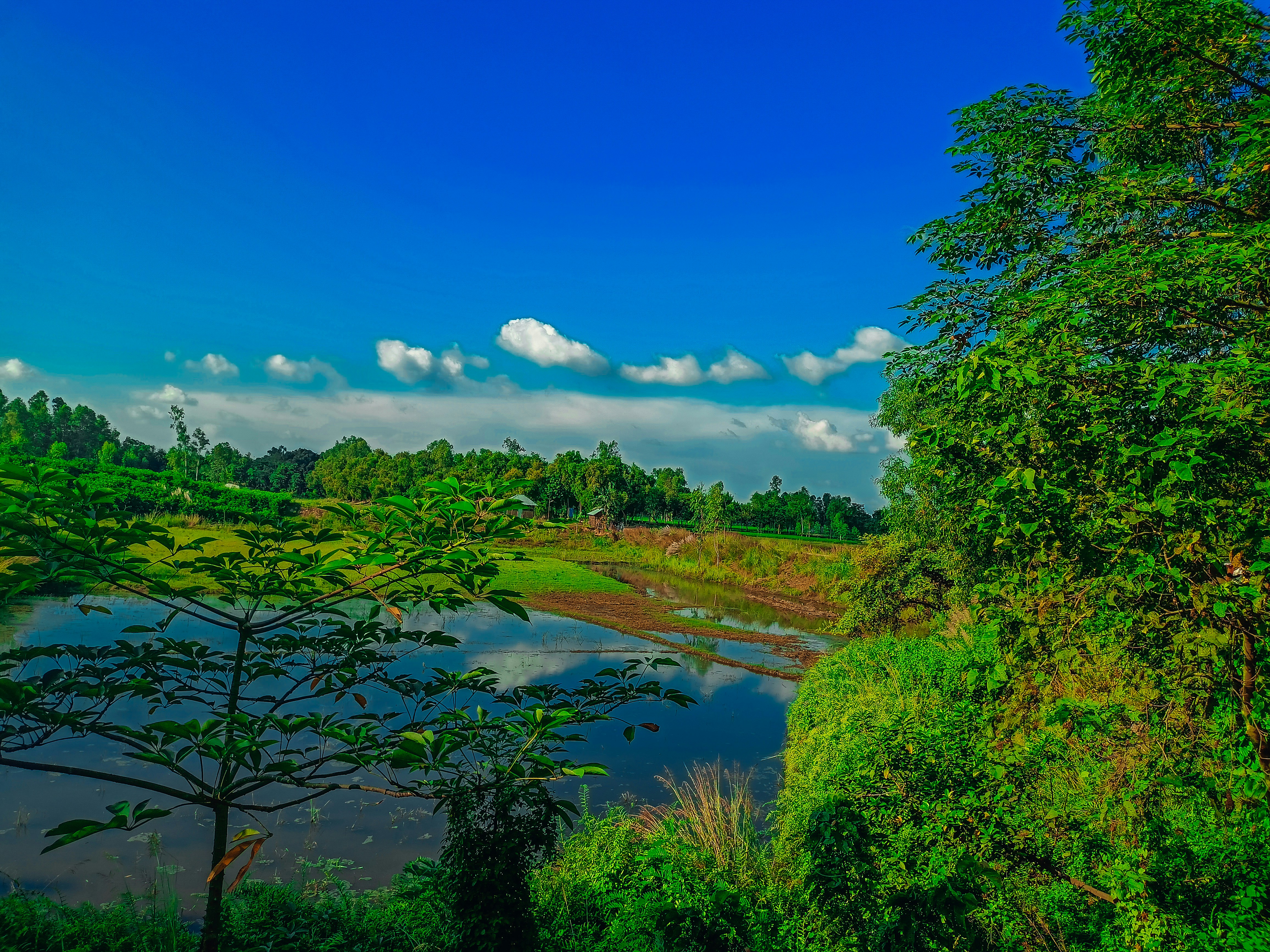 Photo by mubinurrahmanmrp