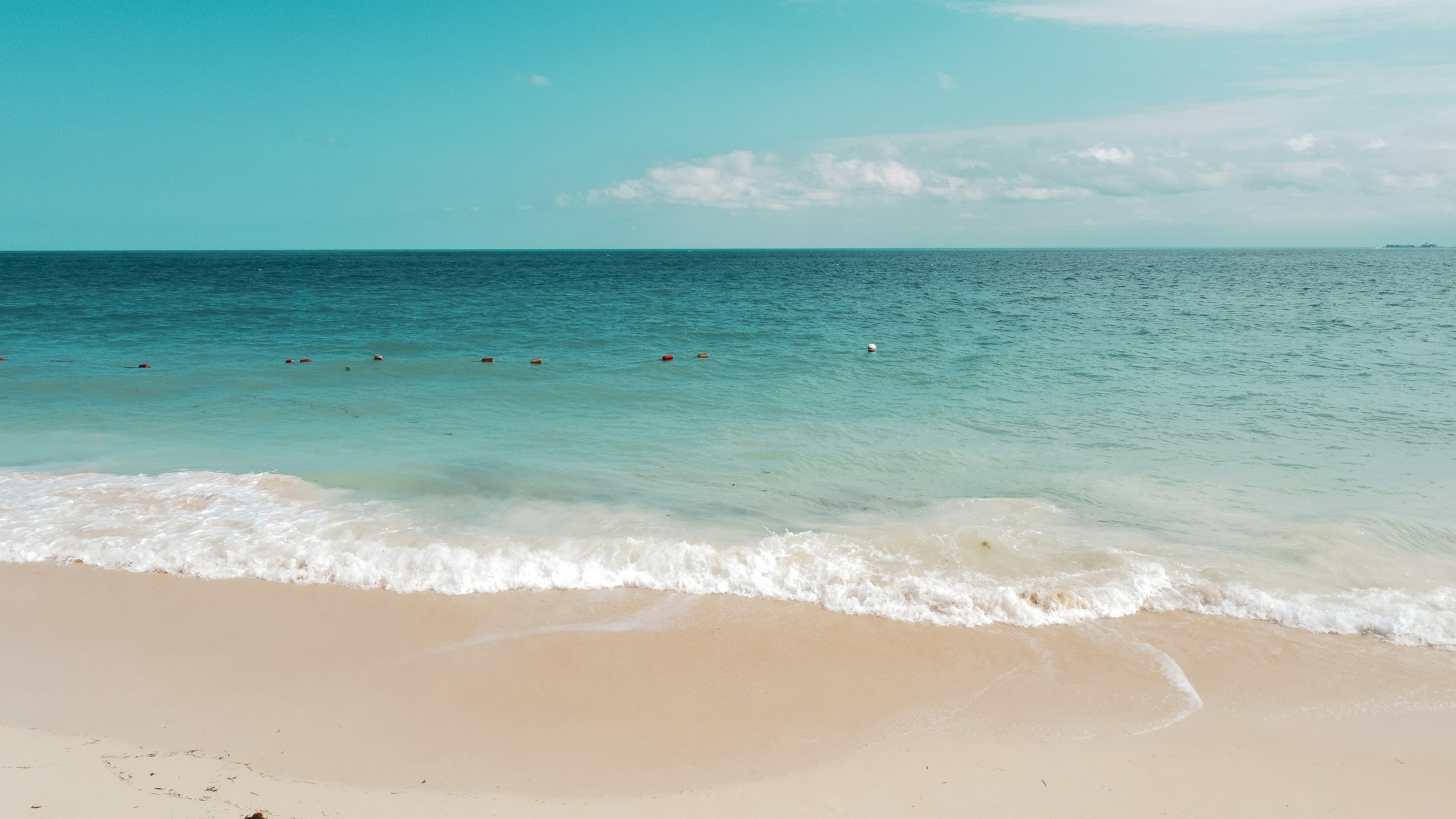 Photo by wonderwallphotos