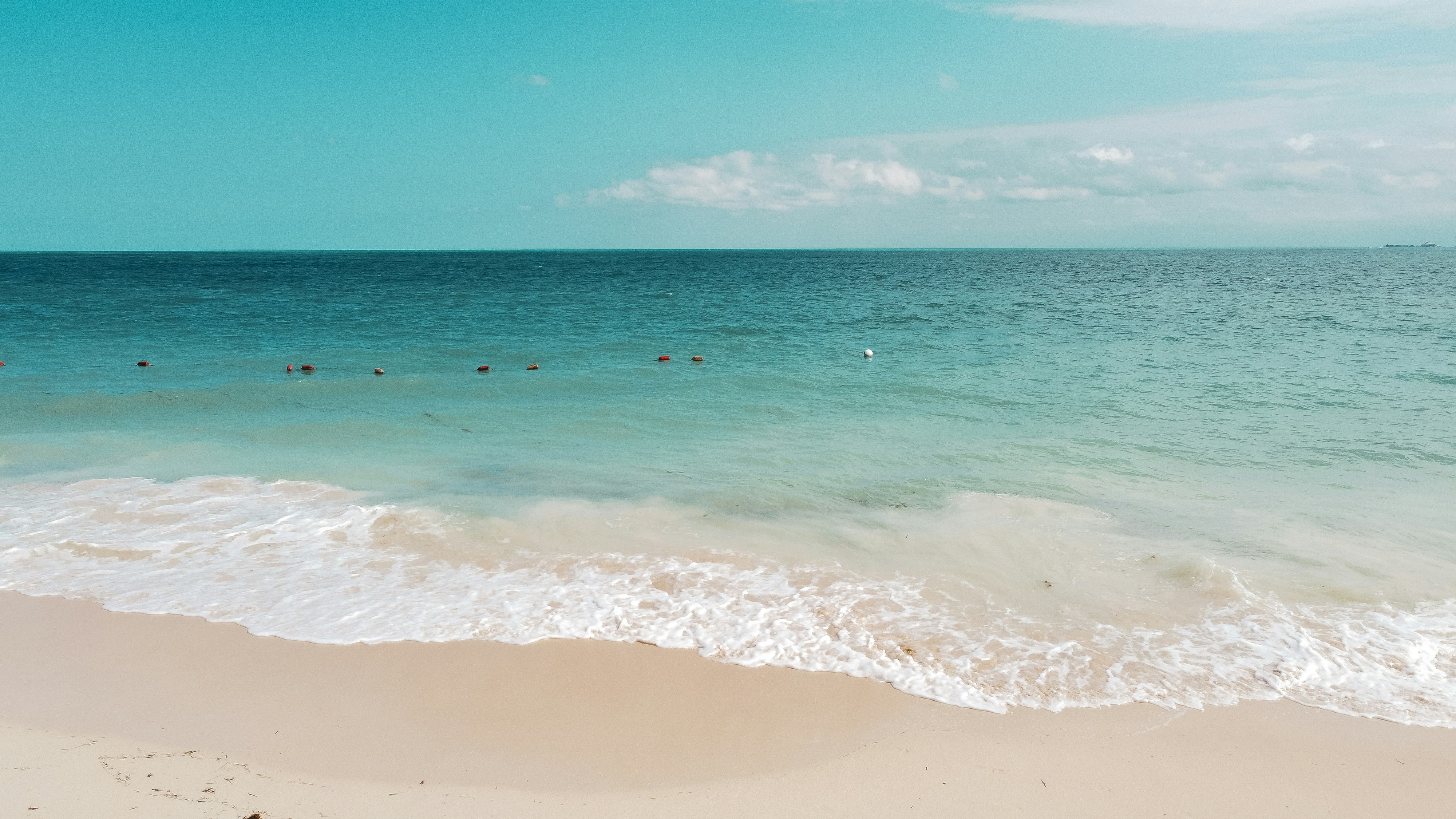 Photo by wonderwallphotos