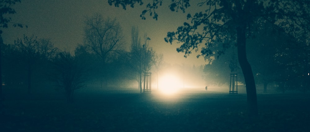 a foggy park at night with a light shining through the trees