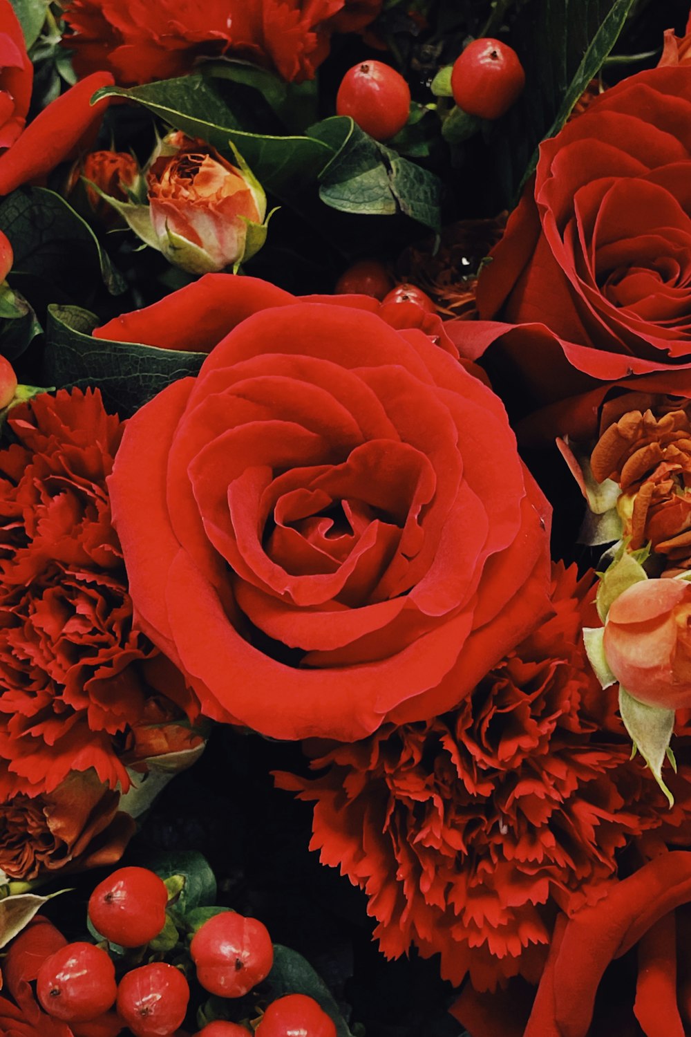 a close up of a bunch of red flowers