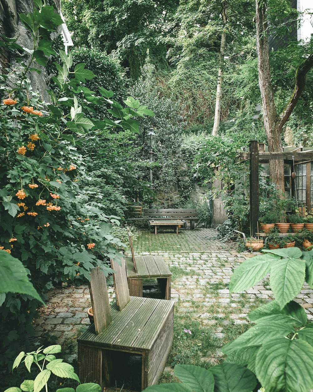 a wooden bench sitting next to a lush green forest