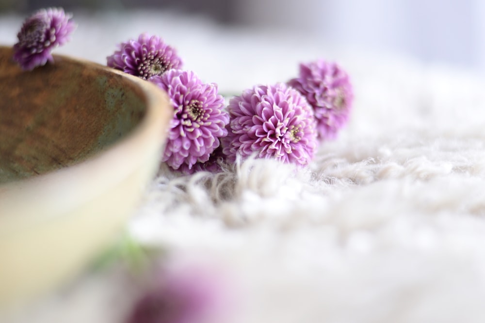 a bunch of purple flowers sitting in a bowl