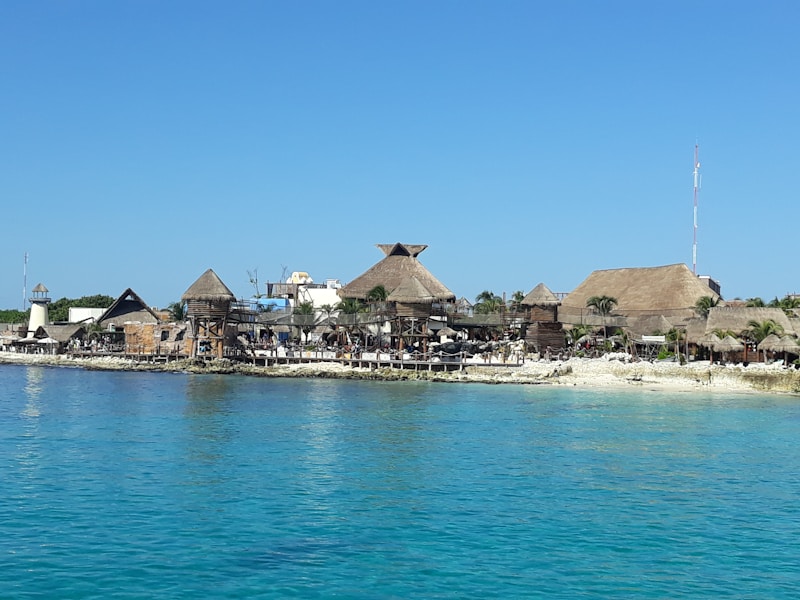 A beautiful tropical shoreline features traditional thatched-roof structures and palm trees. The clear blue water contrasts with the sandy beach and green vegetation, creating a serene atmosphere.
