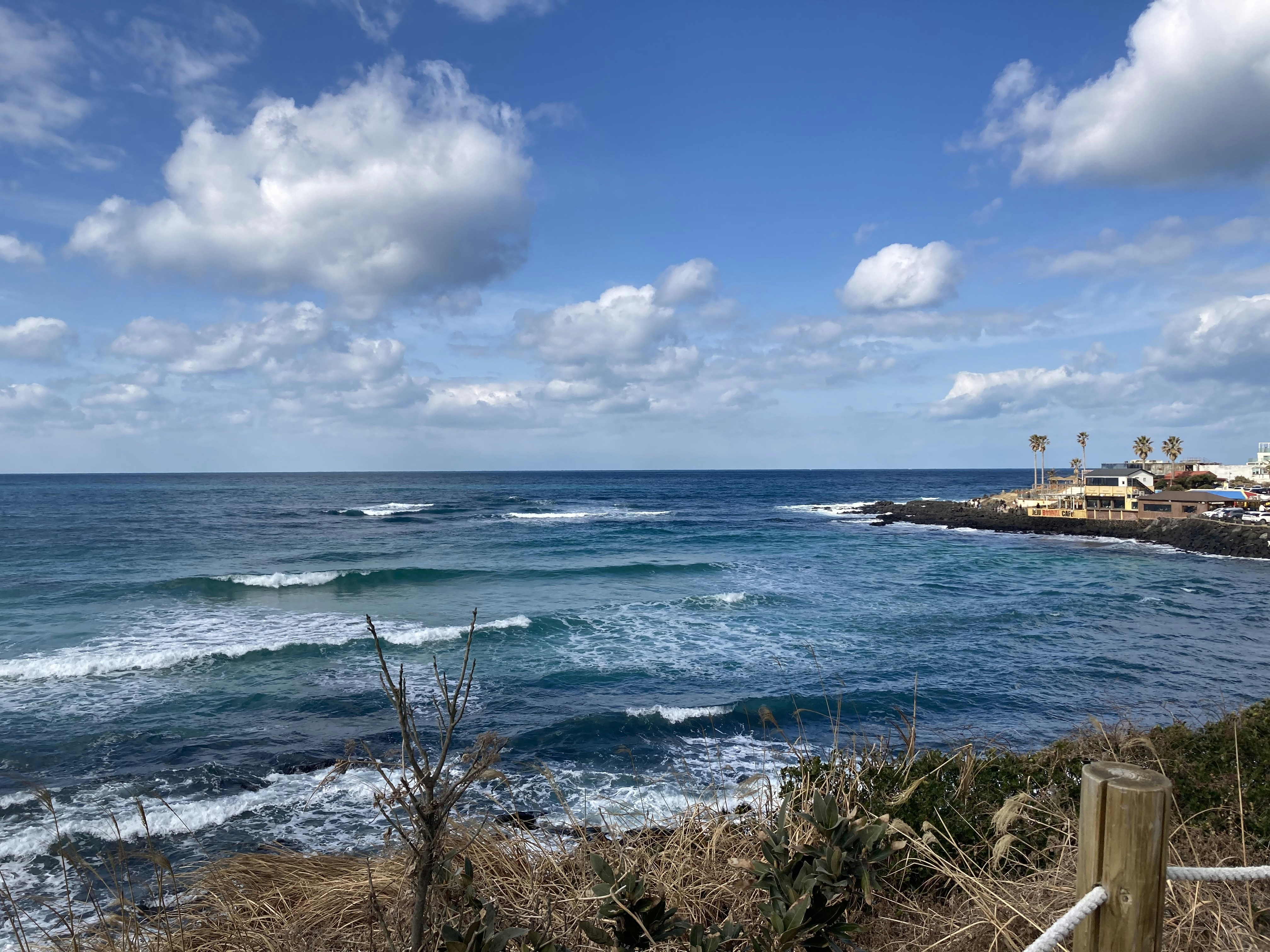 Photo by hermionelsa