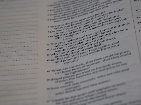 Close-up of an AI-generated question paper with clear syllabus references in a clean interface.