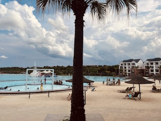 A large swimming pool area with people engaging in various leisure activities. A tall palm tree is prominently in the foreground. Around the pool, there are sunbathers on lounge chairs and people on sandy areas. A fountain is visible in the middle of the pool. In the background, there are residential buildings and cloudy skies.