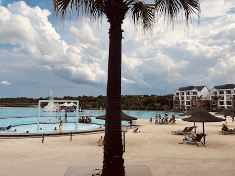A large swimming pool area with people engaging in various leisure activities. A tall palm tree is prominently in the foreground. Around the pool, there are sunbathers on lounge chairs and people on sandy areas. A fountain is visible in the middle of the pool. In the background, there are residential buildings and cloudy skies.