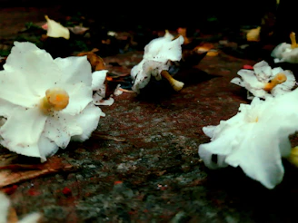 release guilt at the end