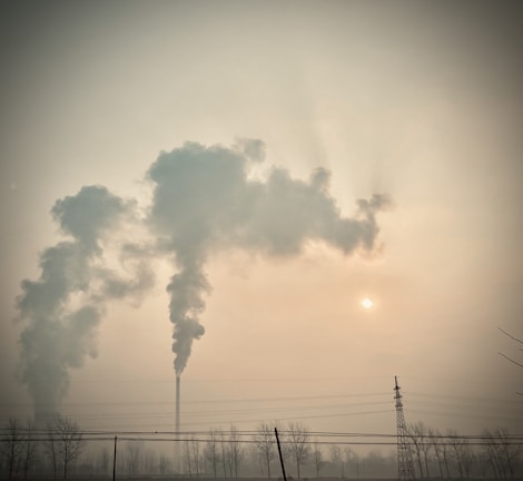 Thick smoke billows from a factory smokestack against a hazy sky, with the sun barely visible. The landscape includes barren trees and power lines, contributing to an industrial and polluted atmosphere.