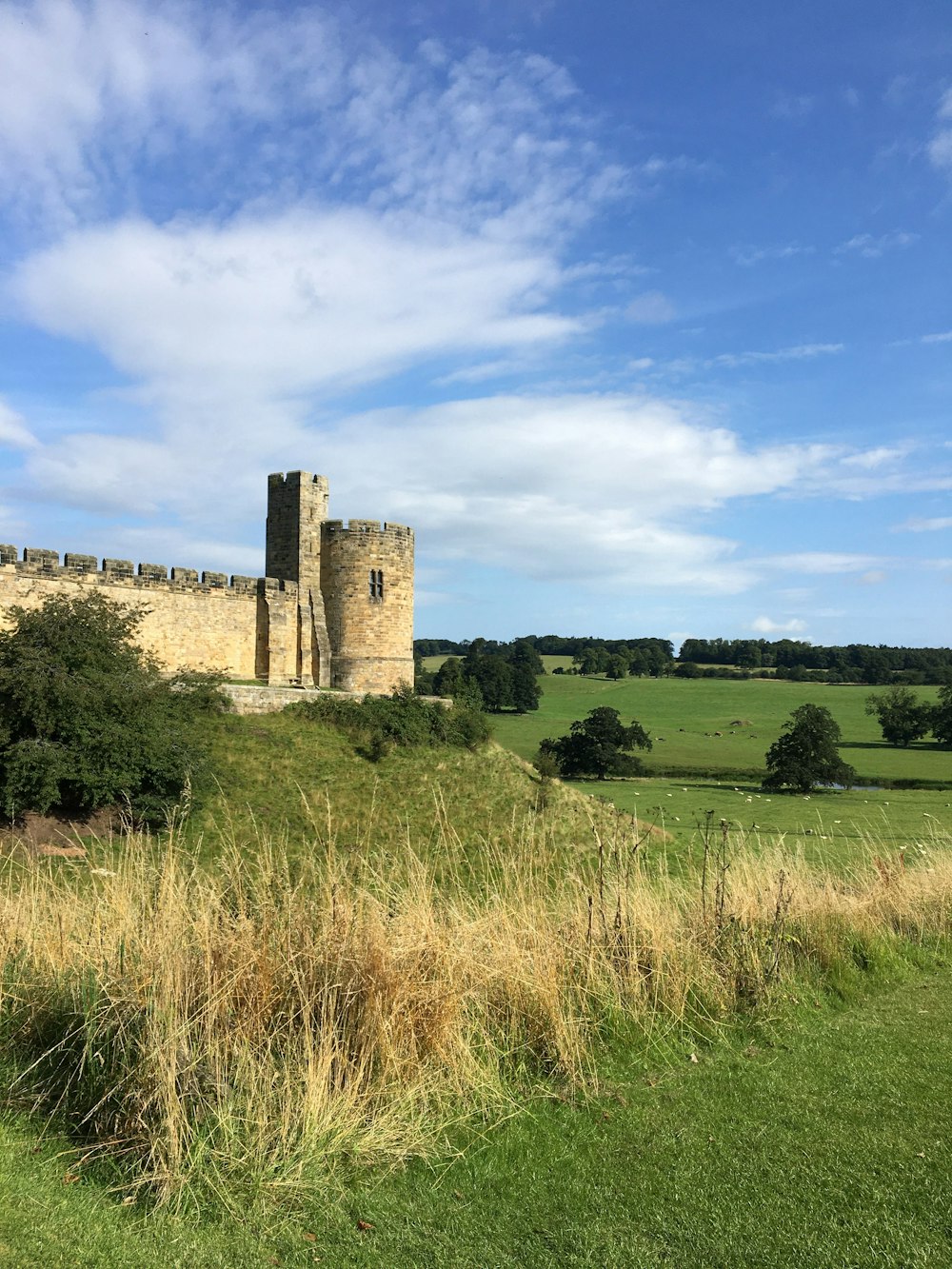 a castle sitting on top of a lush green field