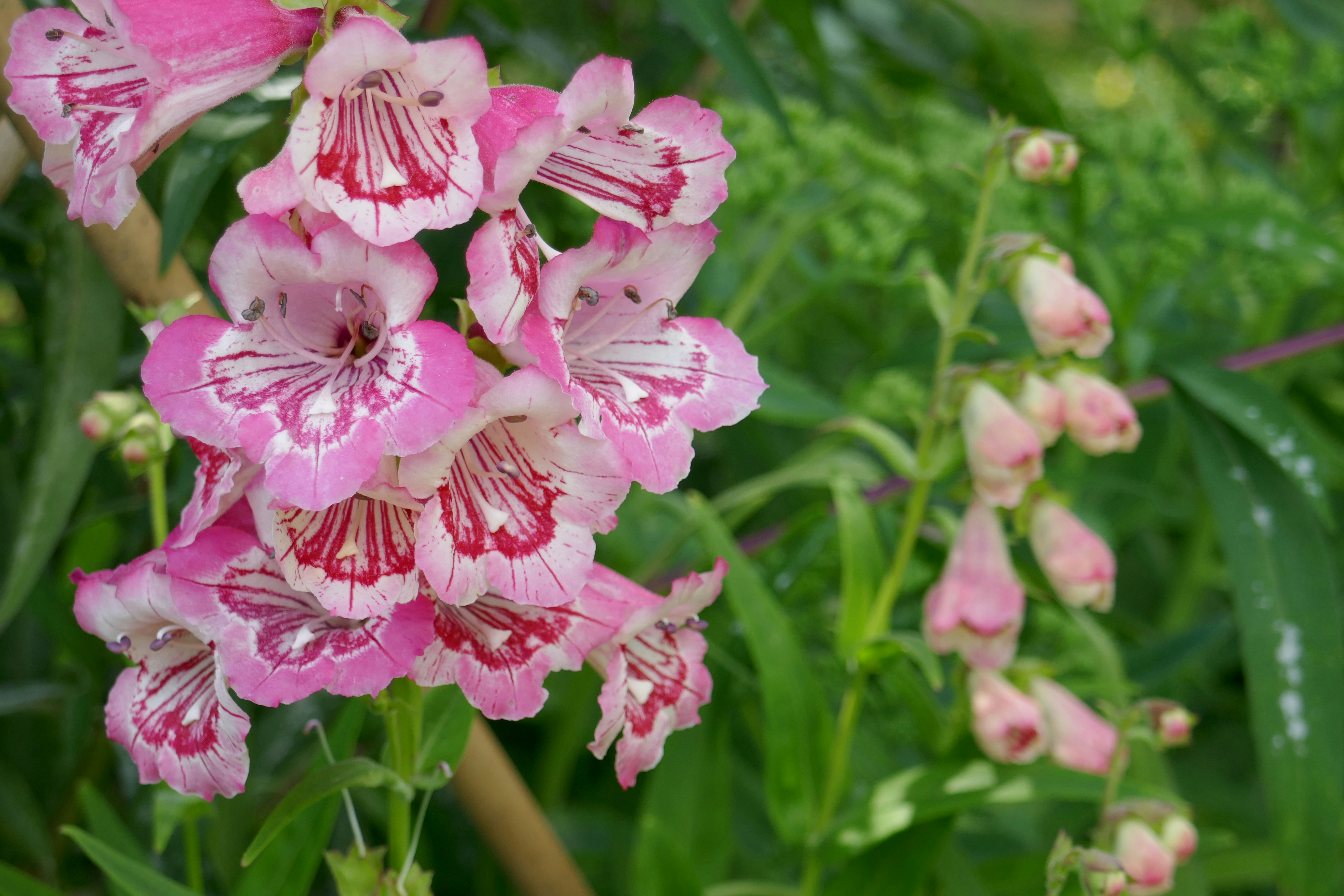 Photo by laurasheppard