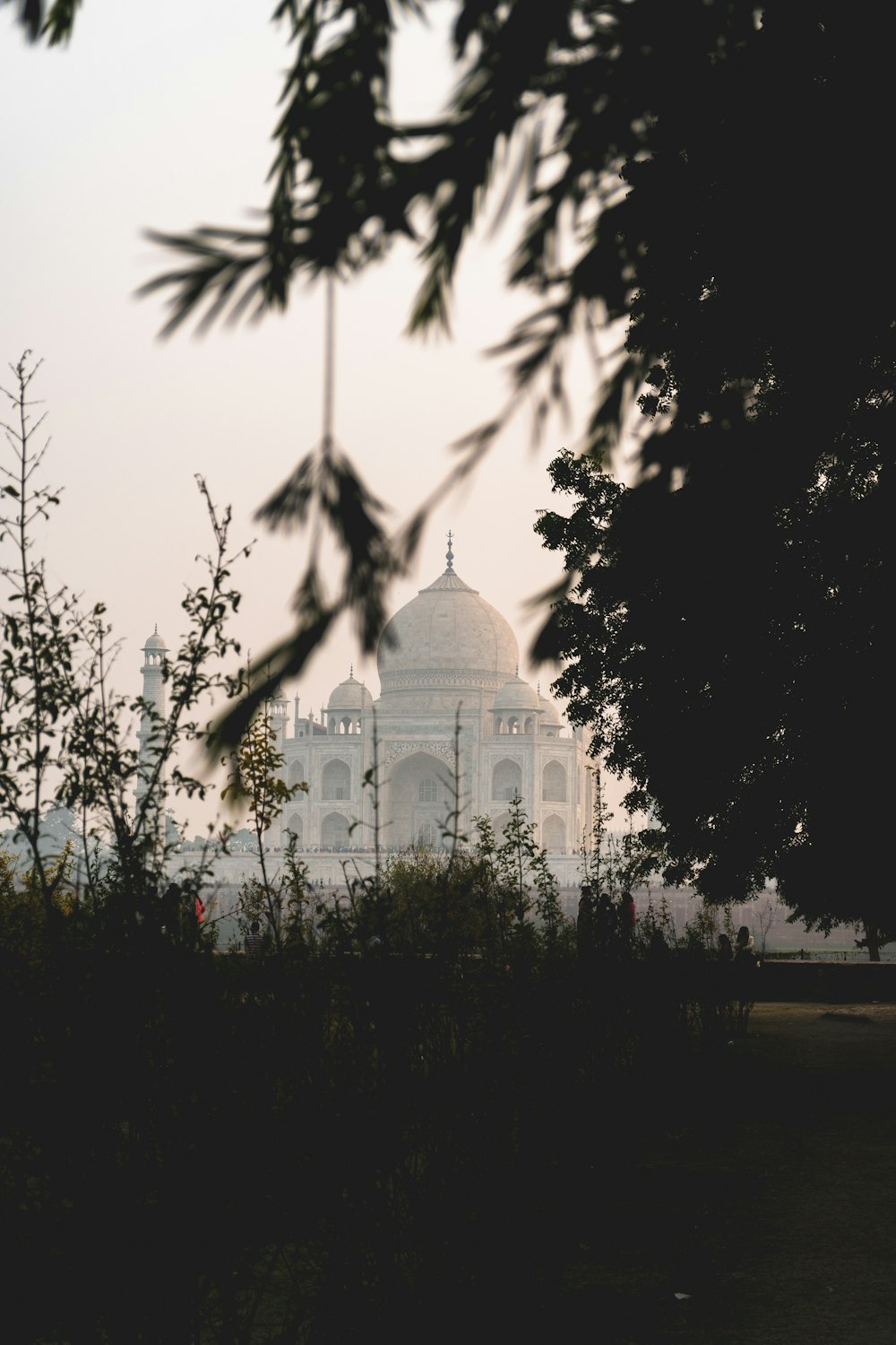 a view of a white building through some trees