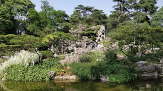 A lush garden landscape with dense foliage, rocky formations, and various types of greenery surrounding a small pond. The scene includes dramatic rock structures integrated with the natural environment, creating a tranquil setting.