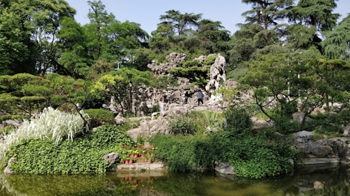 A lush garden landscape with dense foliage, rocky formations, and various types of greenery surrounding a small pond. The scene includes dramatic rock structures integrated with the natural environment, creating a tranquil setting.