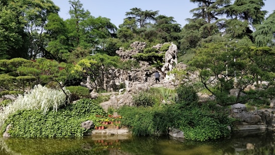 A lush garden landscape with dense foliage, rocky formations, and various types of greenery surrounding a small pond. The scene includes dramatic rock structures integrated with the natural environment, creating a tranquil setting.