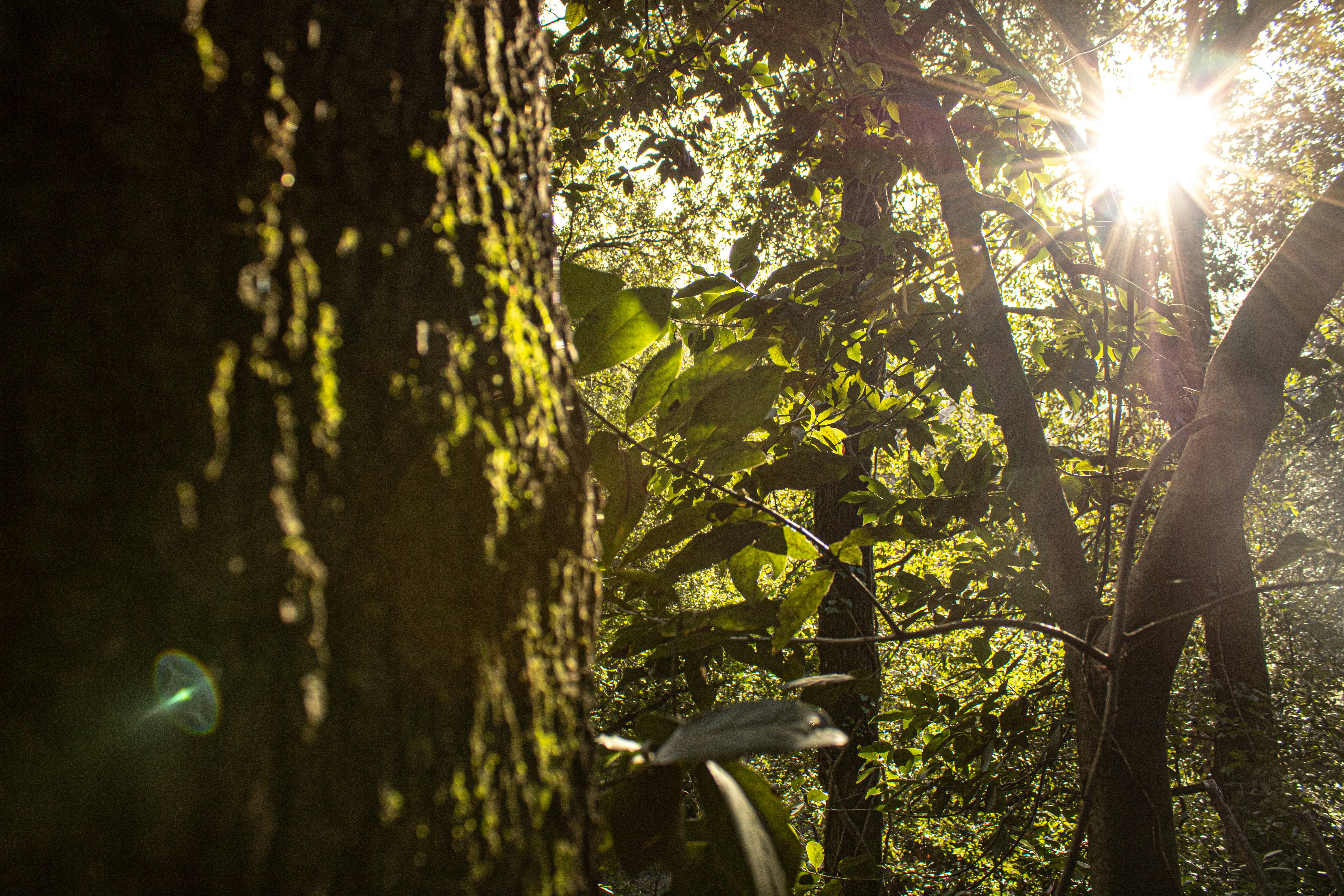 Photo by rosarioespositolarossa