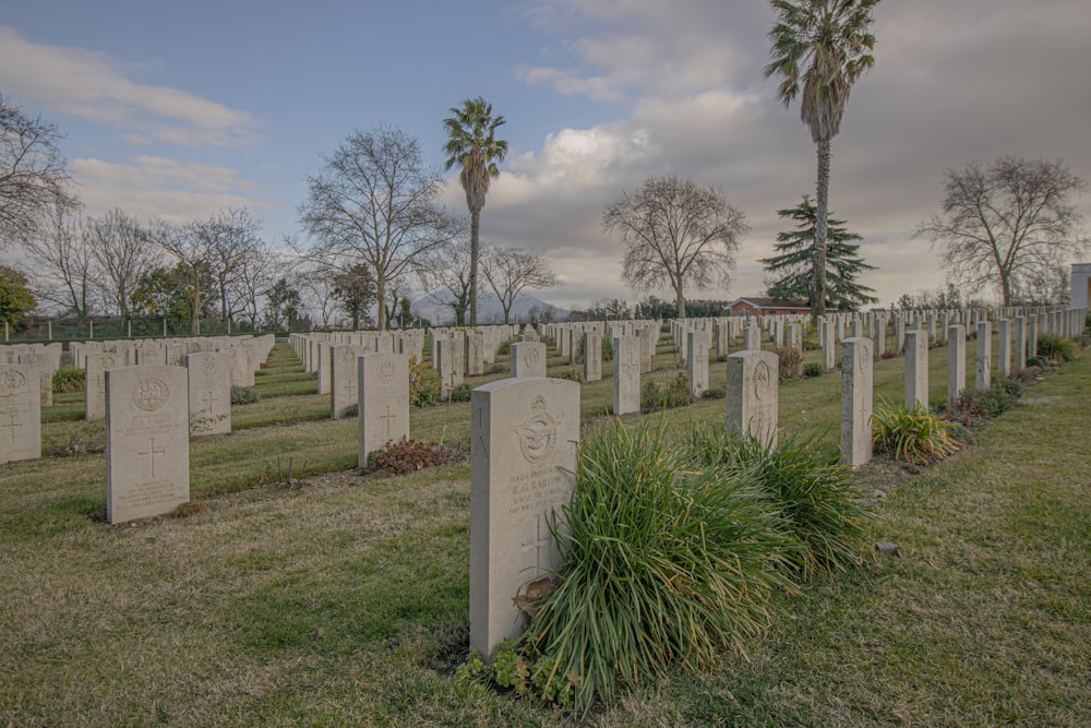 a field of headstones in a cemetery with palm trees in the background