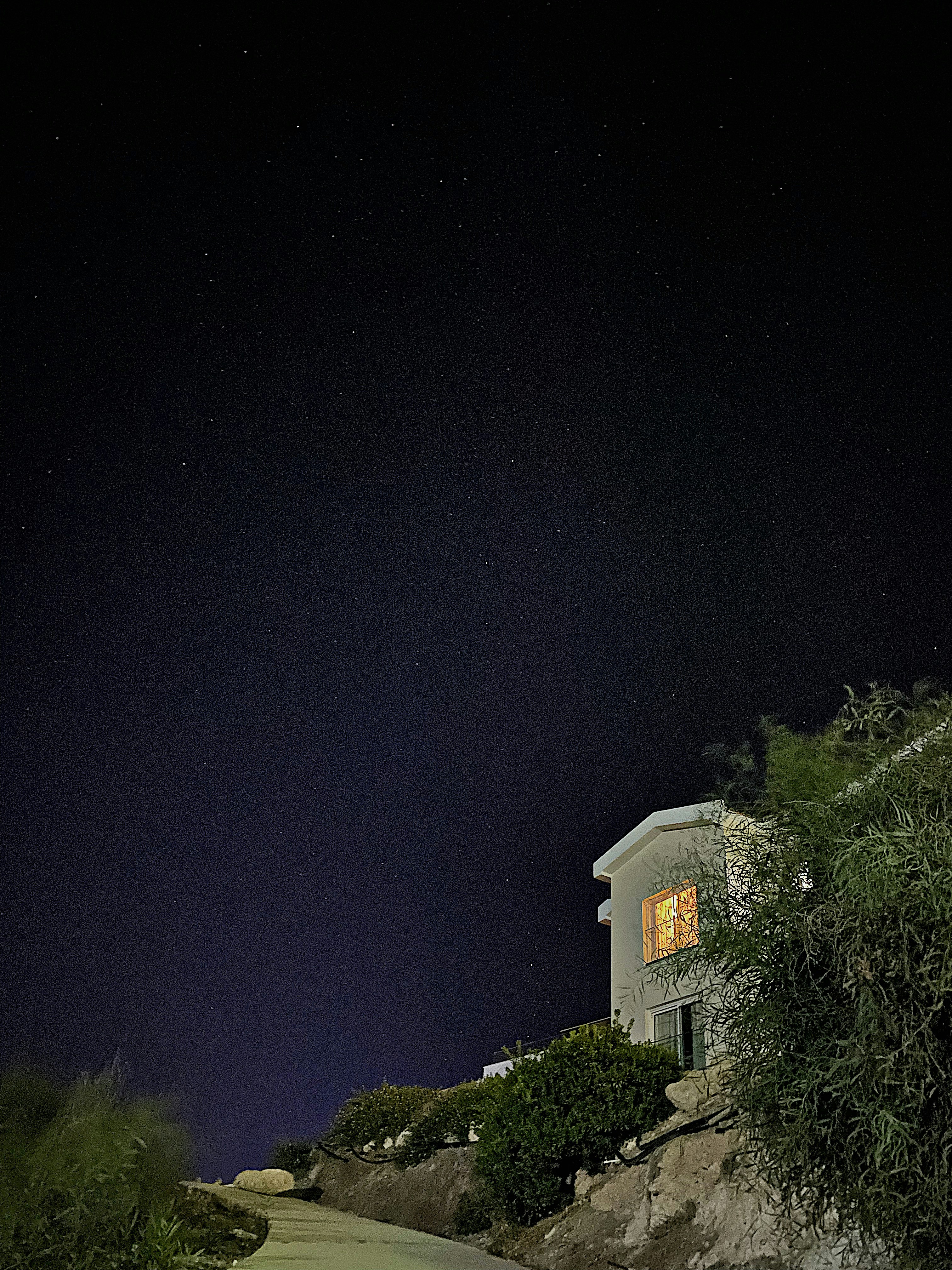 Photo by alinavalishina