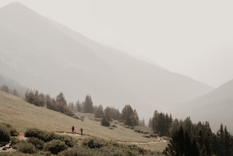 A couple hiking together, surrounded by beautiful nature.