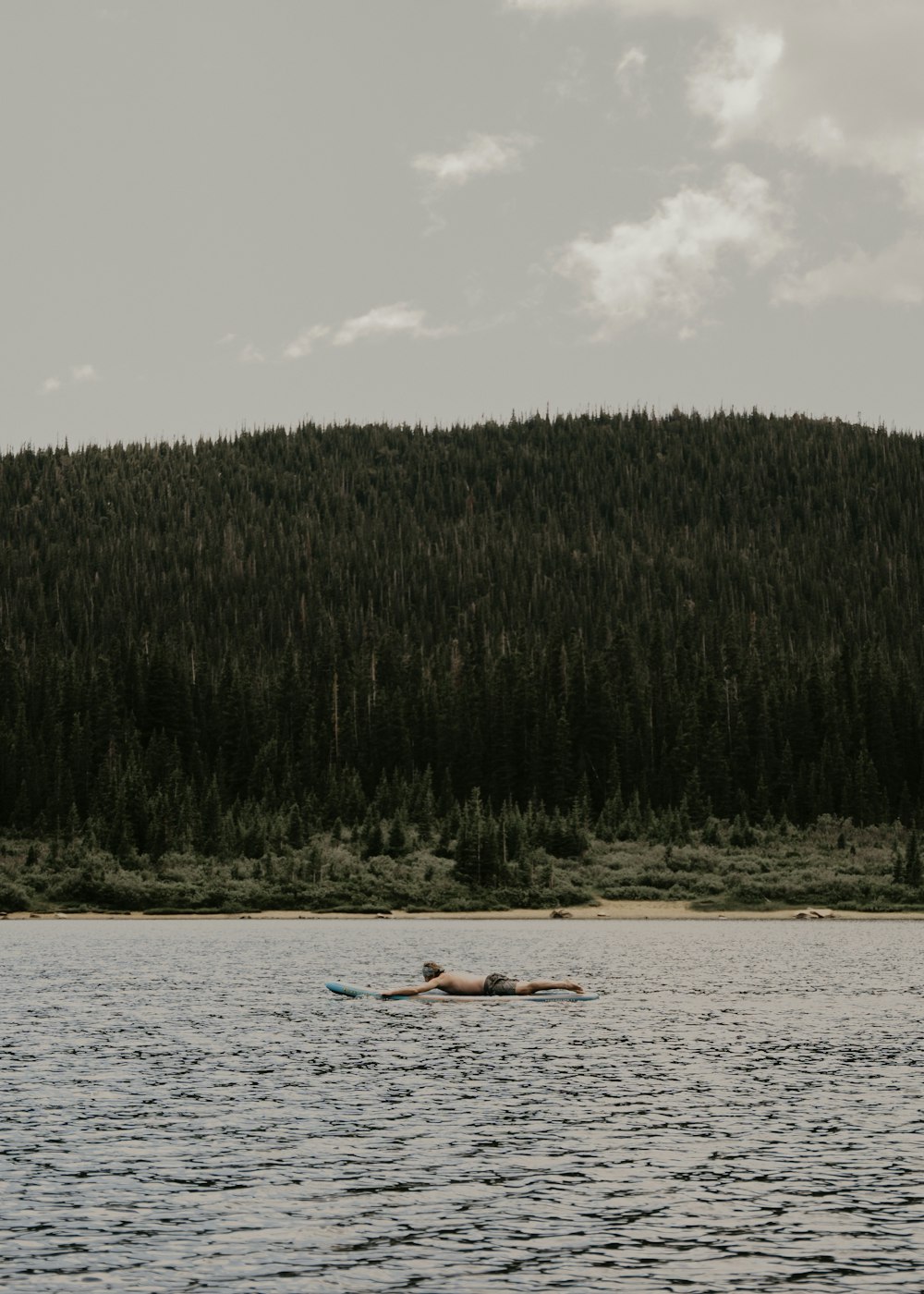 a person floating in a body of water next to a forest