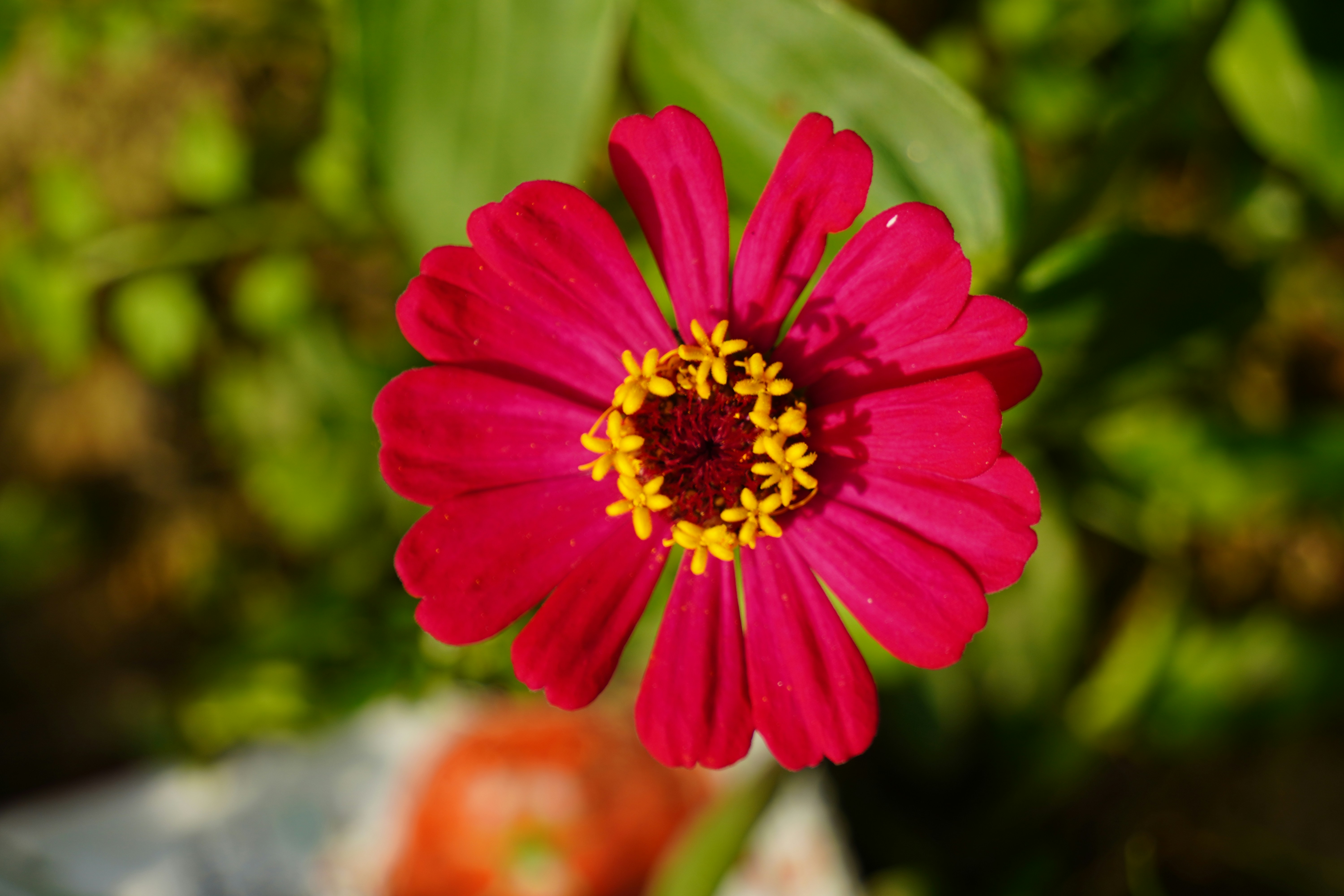 Photo by abdulkayum97