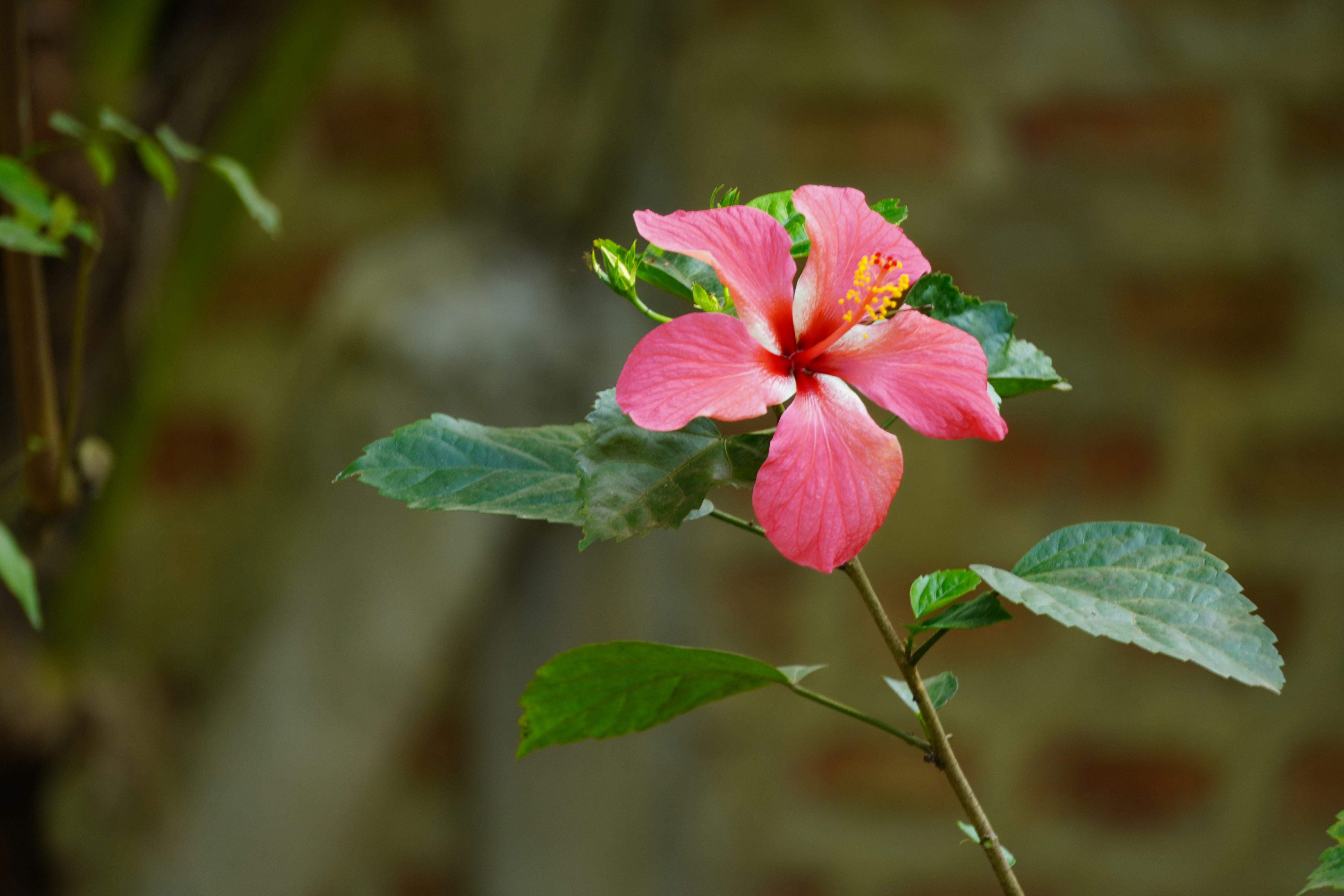 Photo by abdulkayum97