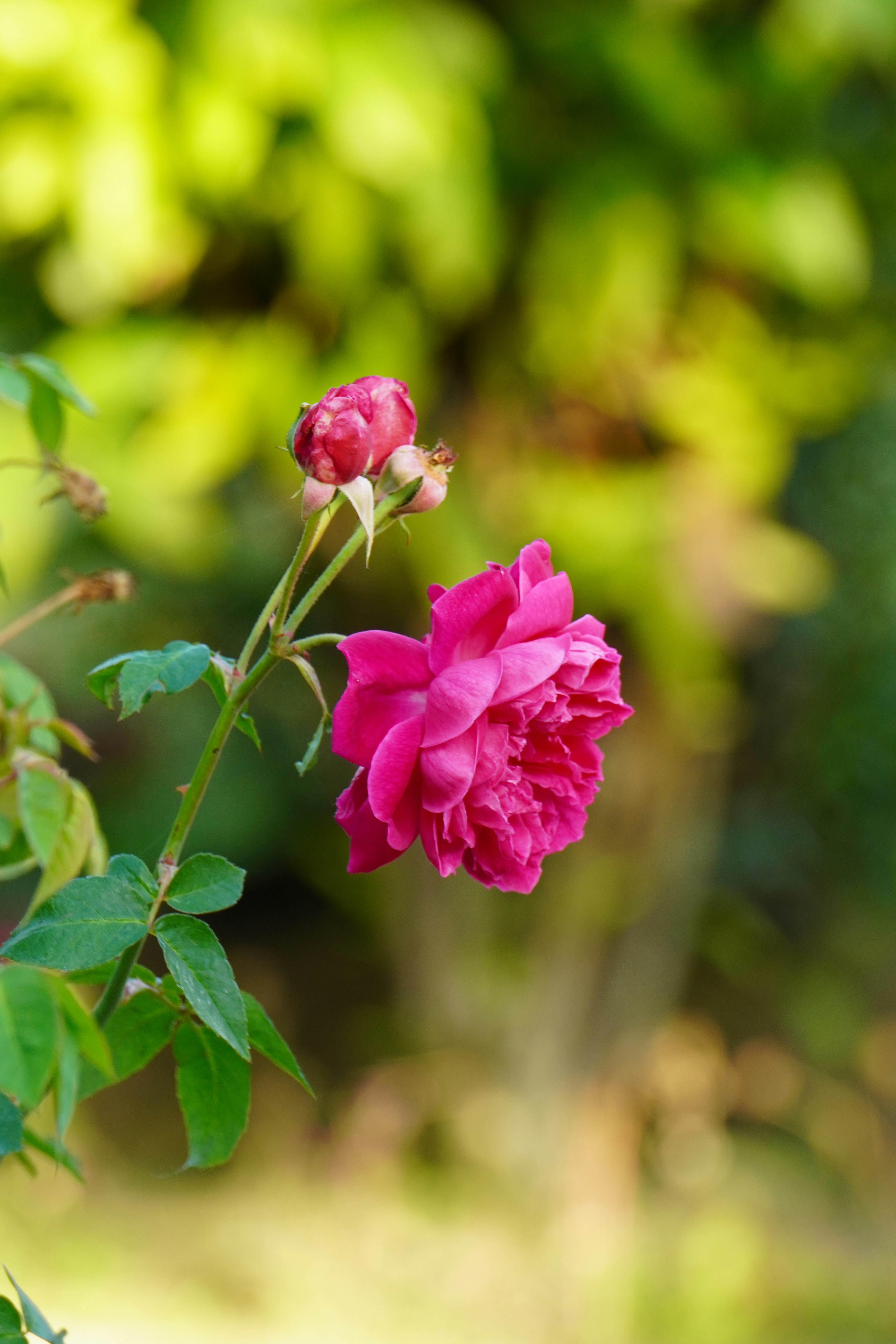 Photo by abdulkayum97