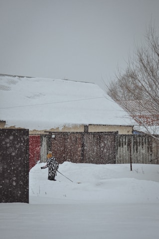 Close-up of a shovel clearing snow from a front walkway lined with winter plants.