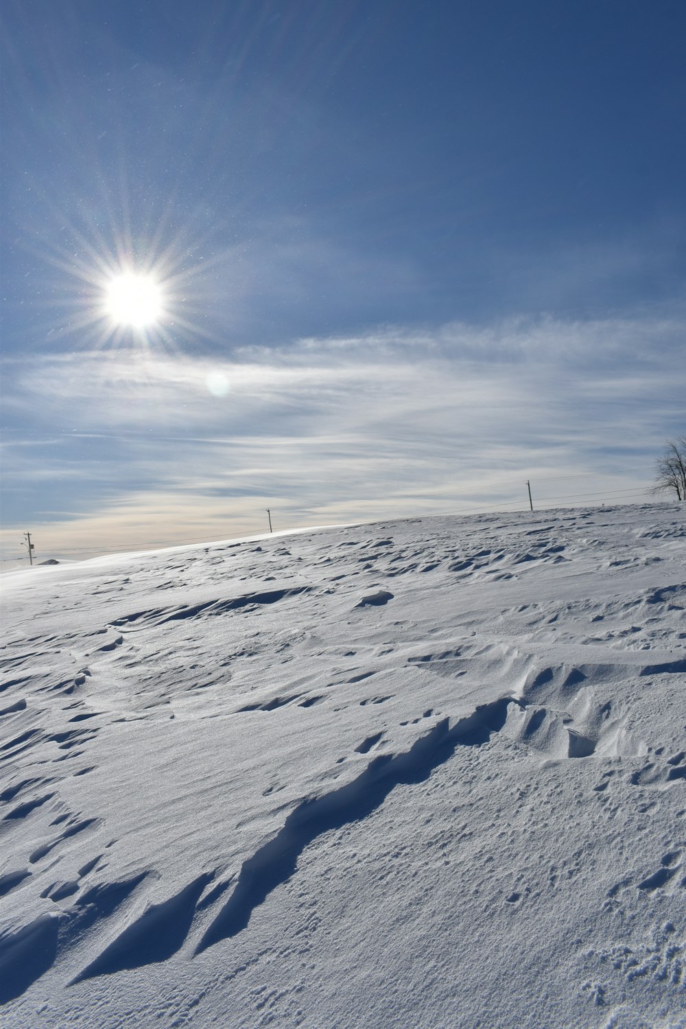 El sol brilla sobre un campo nevado