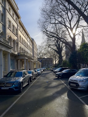 Sunlit street with townhouses and green trees