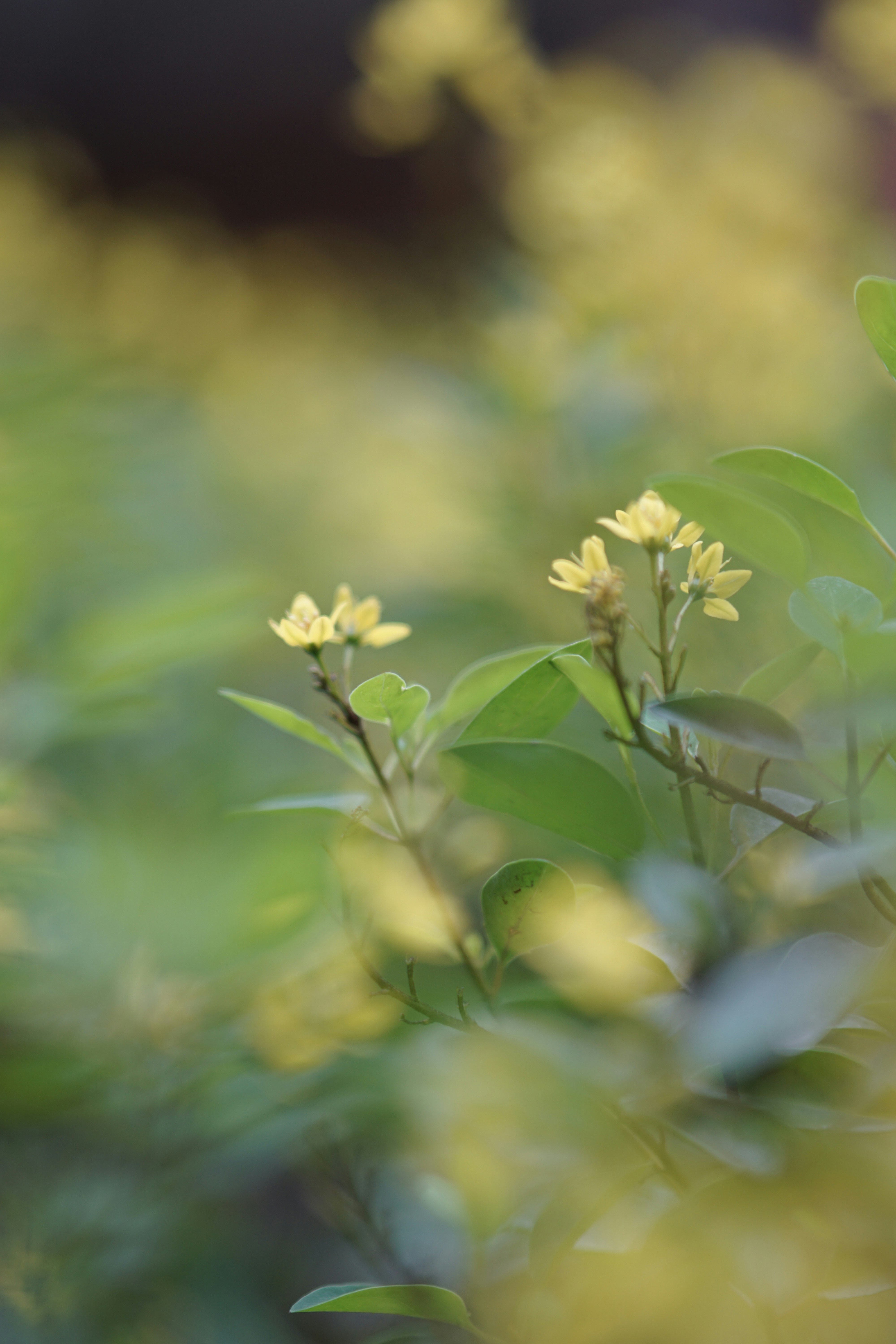 Photo by nntruong0801