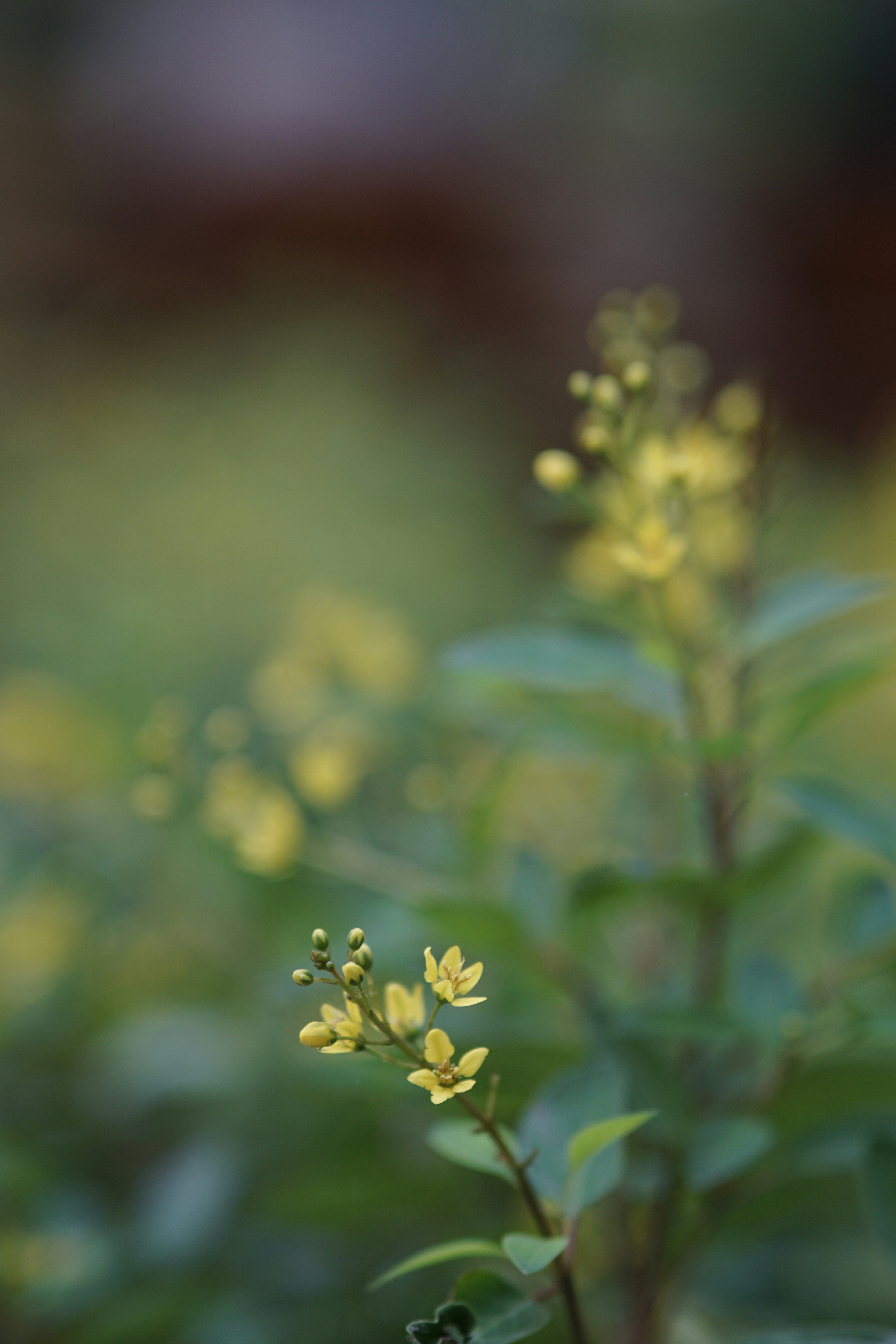 Photo by nntruong0801