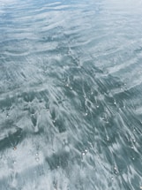 A textured surface of wet sand with small shells scattered throughout. The sand displays a silky pattern created by the movement of water, giving a smooth and fluid appearance.