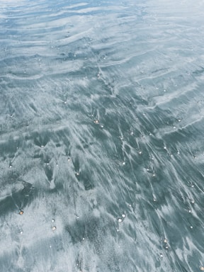 A textured surface of wet sand with small shells scattered throughout. The sand displays a silky pattern created by the movement of water, giving a smooth and fluid appearance.