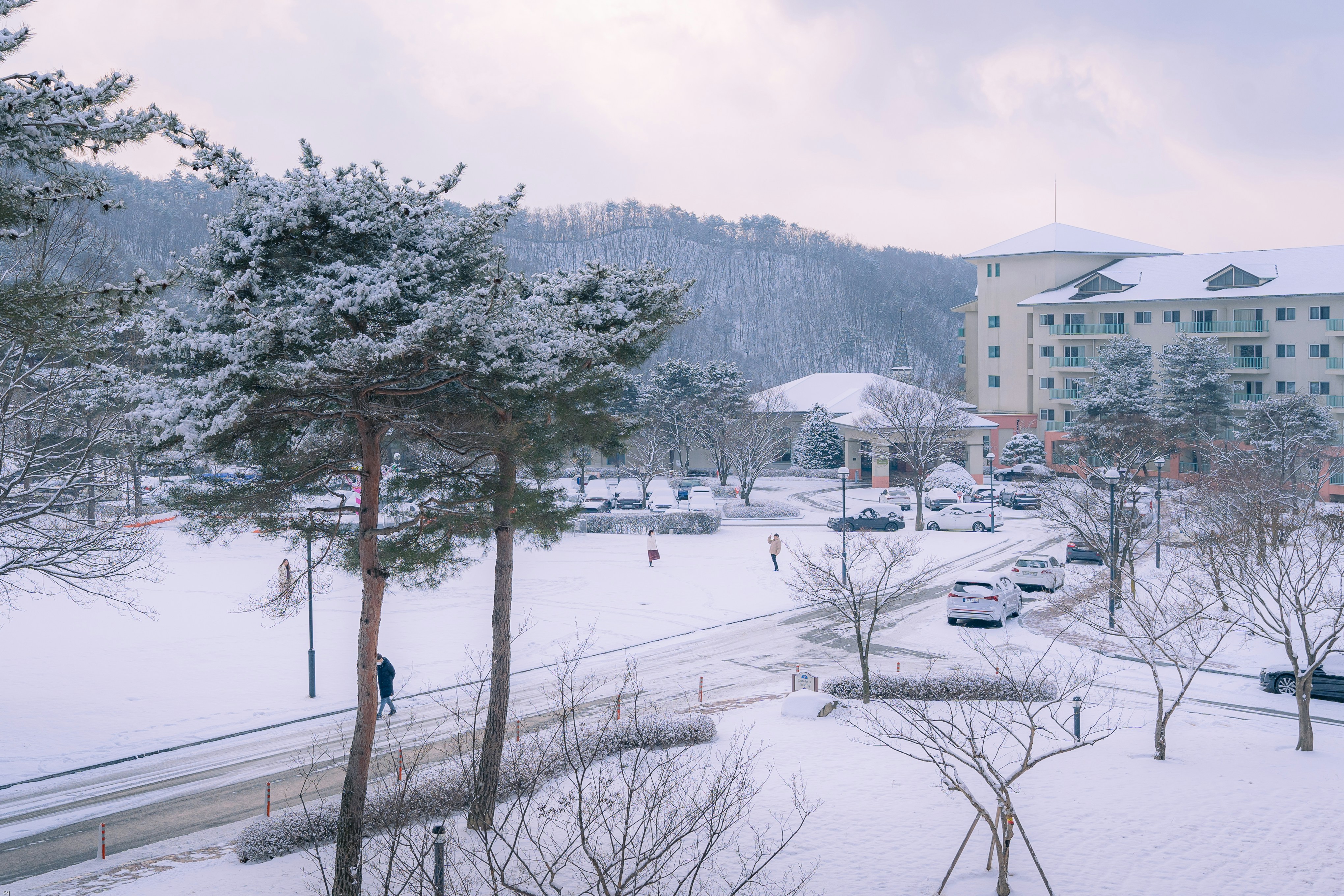 雫石王子滑雪場 — sq lim