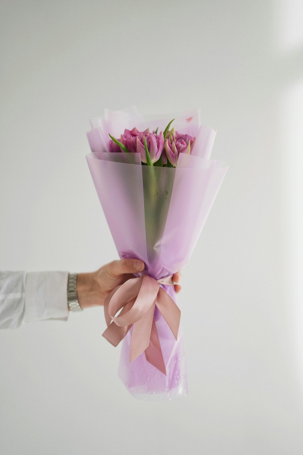 a person holding a bouquet of pink roses