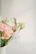 Elegant floral arrangement in soft pastel tones displayed on a wooden table.