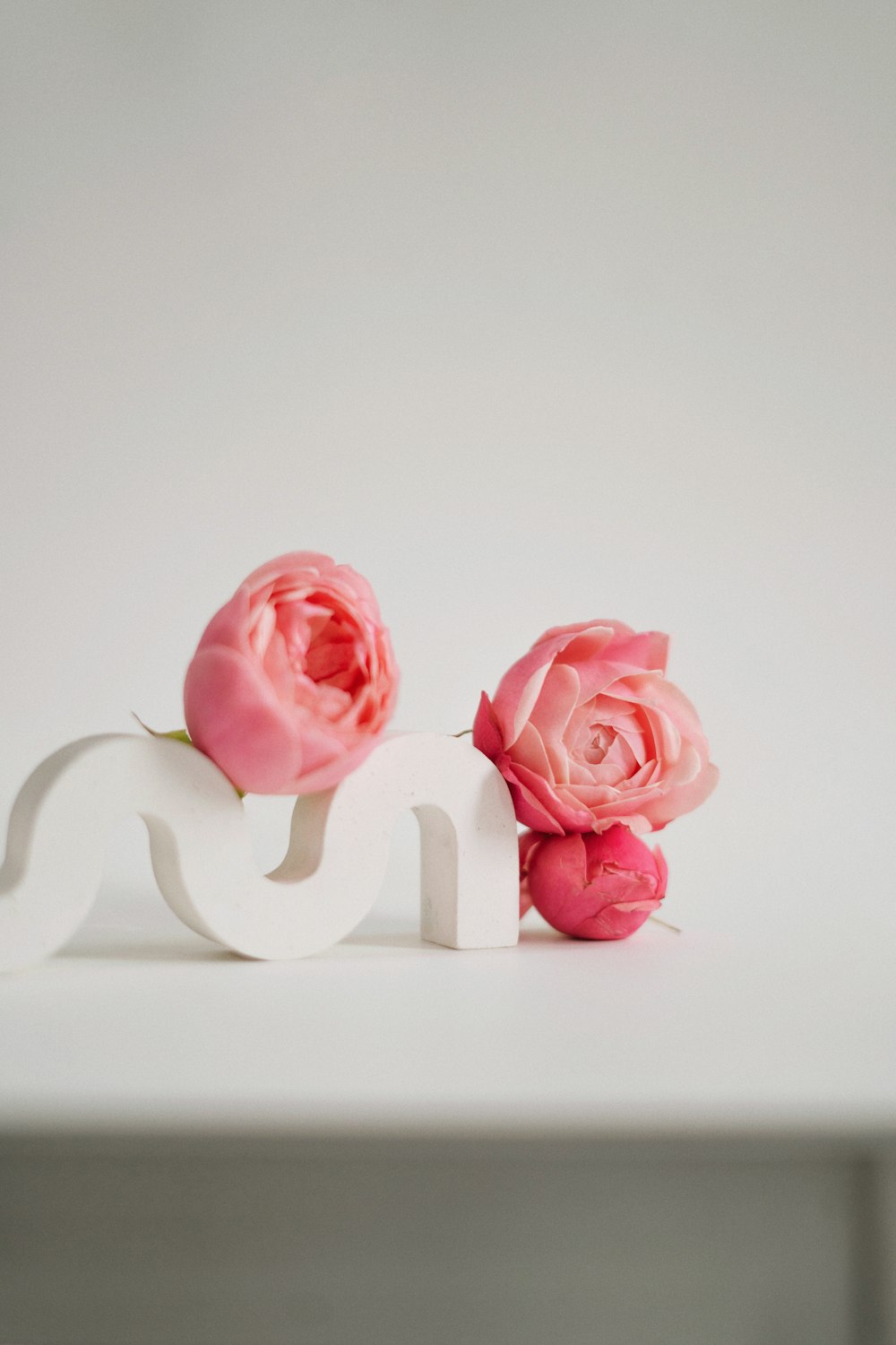 a couple of pink roses sitting on top of a white table