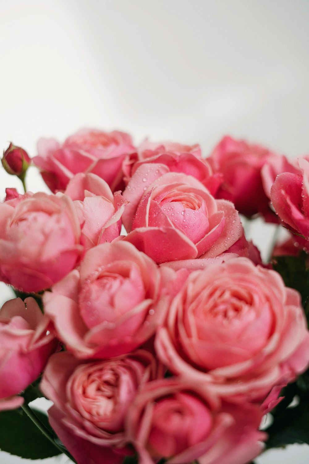 a vase filled with pink roses on top of a table