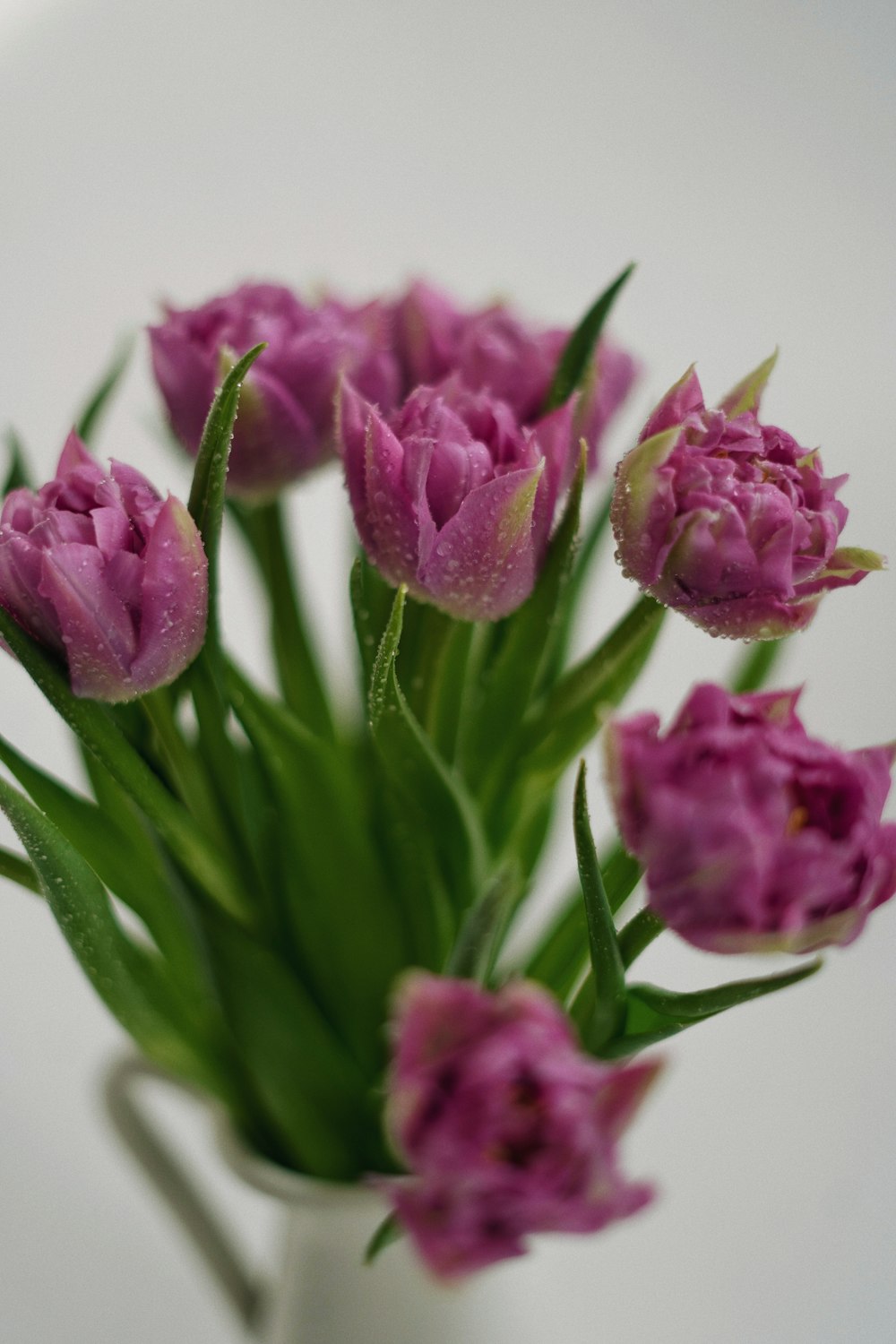 a white vase filled with purple flowers on top of a table