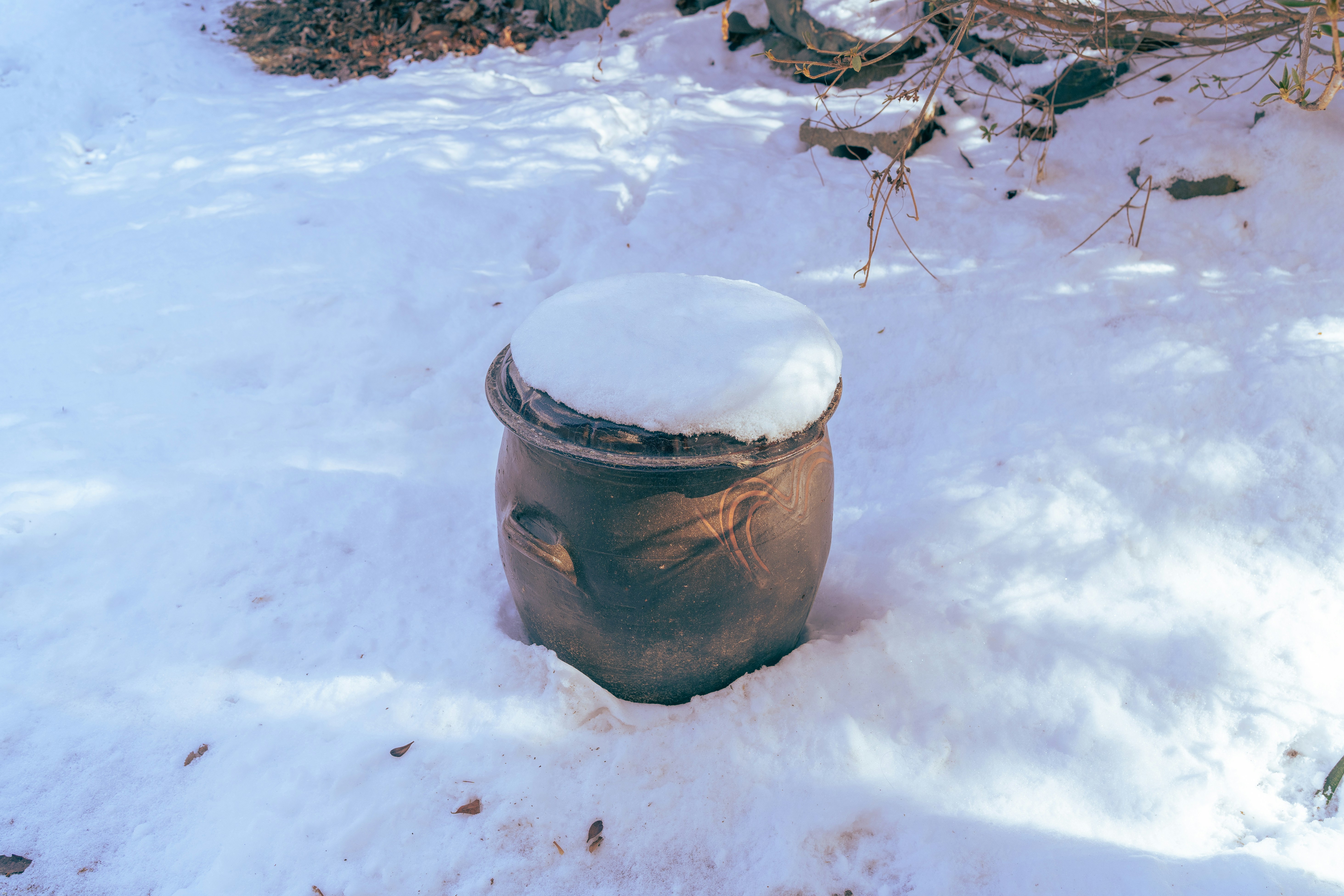 a fire hydrant covered in snow next to a bush