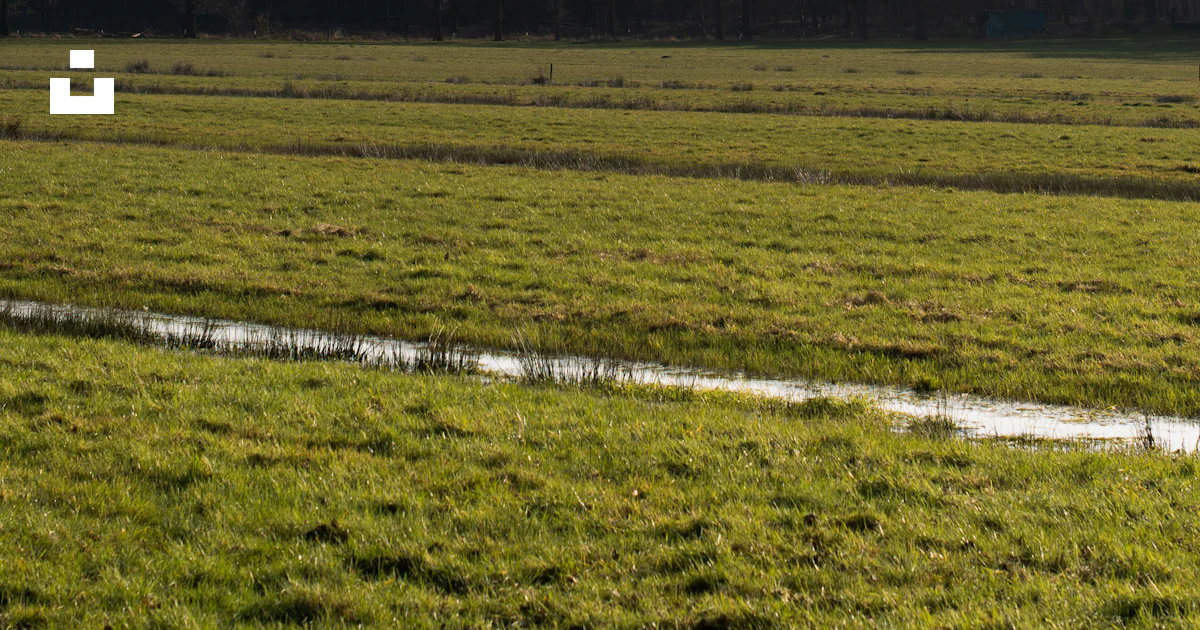 A grassy field with a stream running through it photo – Free Field ...