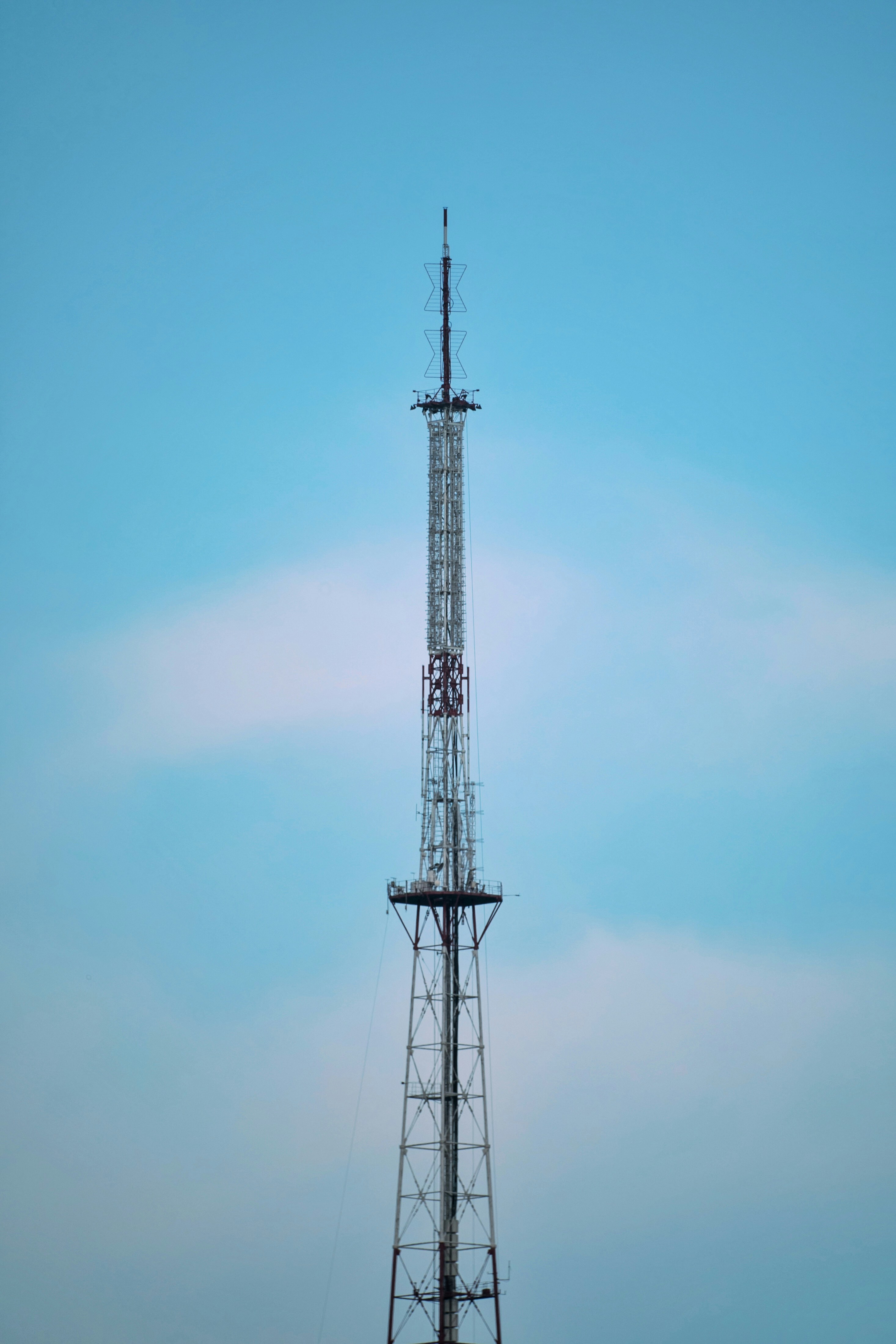 Photo by voznenko_artur